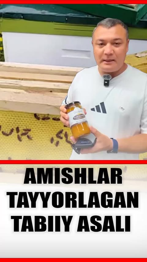 Amishlar usulida tayyorlangan tabiiy tog' asali